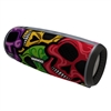 Daewoo DBF303 (DBT-10)  Wireless Bluetooth Radio Speaker USB/SD/AUX Skull